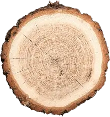 wood preview